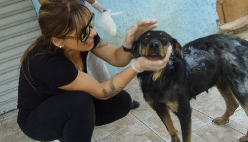 Engajada Ex Bbb Vanessa Mostra Seu Amor Pelos Animais Em Rede Social