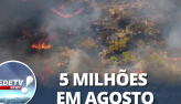 Fogo j destruiu mais de 11 milhes de hectares em 2024