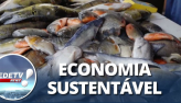Fim do desperdício: couro de peixe vira acessórios no Pará