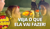 Vale tudo para conseguir o perdo da gata? Veja no quadro Loucuras de Amor
