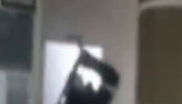 Homem apanha de cinto durante sesso da Cmara em SC