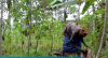 Agricultores investem em culturas resistentes contra as mudanças climáticas