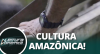 COP30: construções sustentáveis usam saberes de carpinteiros da Amazônia