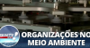 Produção Sustentável: Organizações focam no meio ambiente