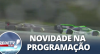 Endurance Brasil chega à RedeTV! com adrenalina e velocidade