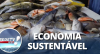 Fim do desperdício: couro de peixe vira acessórios no Pará