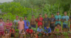 COP30: Conheça o trabalho de reflorestamento do povo Apinajé em Tocantins
