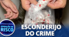 Polícia cerca condomínio do tráfico e encontra carga surpreendente