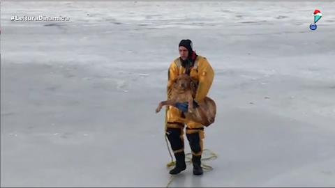 Equipe de resgate dos EUA salva cachorro de lago congelado