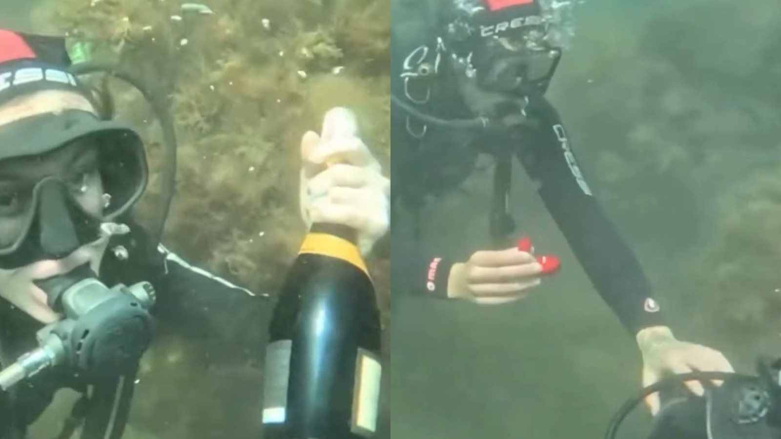 Foto: Montagem/RedeTV!/Redes sociais