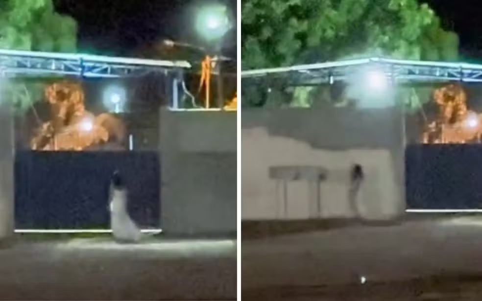 Foto: Reprodução/Redes Sociais