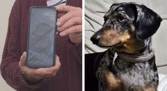 (Foto: Reprodução/TV Globo)