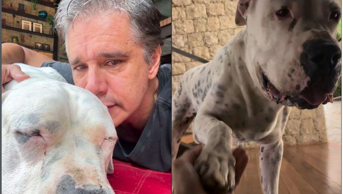 Foto: Reprodução/Redes Sociais