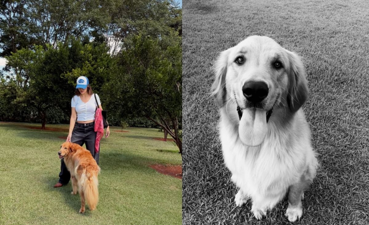 reprodução/ redes sociais