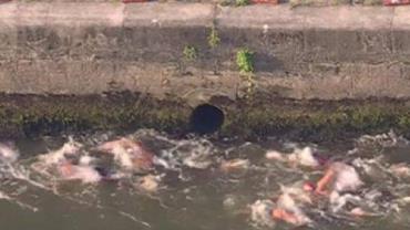 Atletas olímpicos nadam perto de saída de esgoto no rio Sena