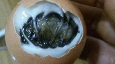 Homem encontra pintinho em ovo comprado no supermercado