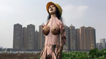 Fazendeiro usa boneca inflável como espantalho em plantação