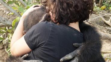 Chimpanzé abandonado abraça ativista após anos de solidão