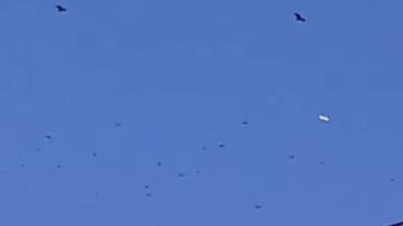 Vídeo flagra suposto disco voador afugentando pássaros ao cruzar o céu nos EUA