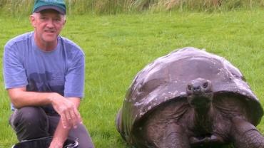 Tartaruga mais velha do mundo recebe o primeiro banho de sua vida