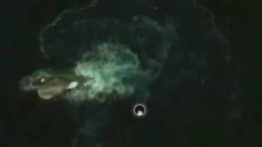 Pesquisador diz ter encontrado o monstro Kraken na Antártida
