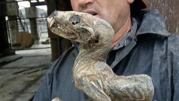 "Criatura mumificada" é achada em mina de diamantes na Rússia