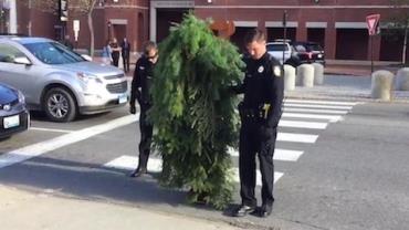 Homem vestido de árvore é preso por parar trânsito em cruzamento nos EUA