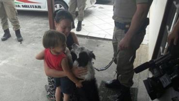 Cãozinho que desmaiou de calor reencontra os donos em Joinville