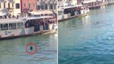 Refugiado morre afogado perto de barco de turistas na Itália
