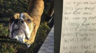 Desolada após ter que doar cão, criança comove ao escrever carta aos novos donos do animal