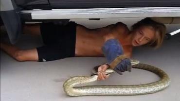 Vídeo mostra momento em que garoto de 14 anos agarra cobra que se escondeu debaixo do carro da família