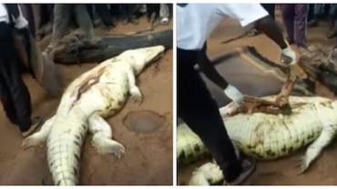 Moradores matam crocodilo e encontram corpo de menino de 8 anos que ele havia comido