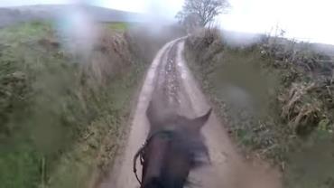 Homem monta cavalo aposentado e registra "corrida insana"