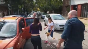 Mulher tenta abandonar cão em rua e motoristas se revoltam