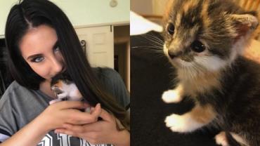 Filhote de gato desaparecido é encontrado em lugar inusitado e encanta internautas