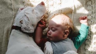 Cadela resgatada forma laço 'inquebrável' com bebê de 11 meses