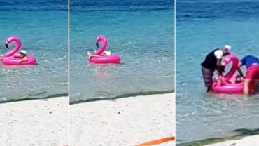 Mulher fica entalada em flamingo inflável na praia e vídeo viraliza