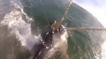 Homem passa por cima de baleia-jubarte ao praticar kitesurf