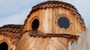 Casas em forma de 'coruja' encantam turistas na França