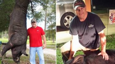 Homem mata porco selvagem de 372 kg no quintal de casa nos EUA