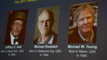 Trio leva Nobel de Medicina por estudo sobre relógio biológico