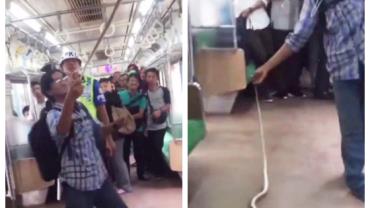 Passageiro de trem mata cobra que estava escondida em bagageiro na Indonésia