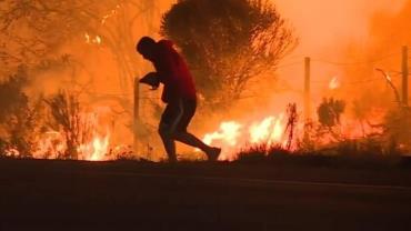 Homem vira herói após salvar coelho em incêndio na Califórnia