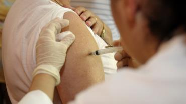 Especialistas da Fiocruz explicam vacina da febre amarela e circulação do vírus