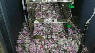 Ratos são suspeitos de destruir R$ 66 mil em banco na Índia