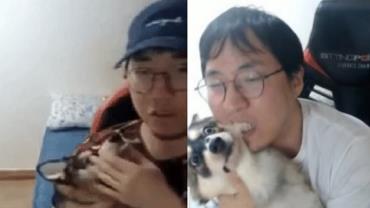 Youtuber gera revolta após agredir cachorro de estimação ao vivo