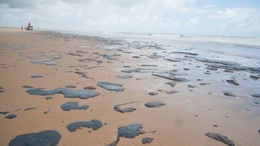 Governo tem suspeita sobre origem de manchas de óleo, diz Bolsonaro