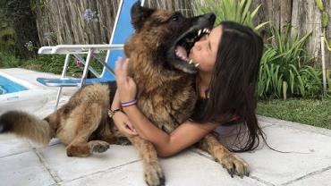Jovem argentina vai tirar foto com cachorro e leva mordida no rosto