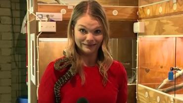 Cobra ataca microfone de repórter de TV na Austrália; VÍDEO