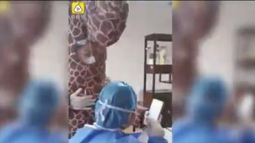 Mulher se veste de girafa para se proteger do novo coronavírus na China